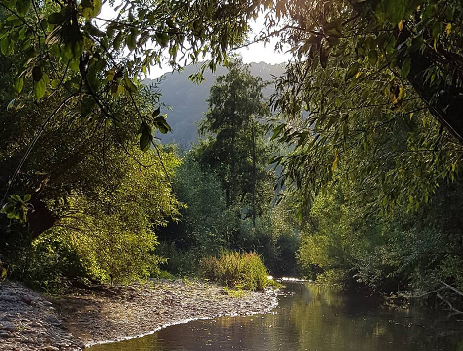 Natur zur Entspannung